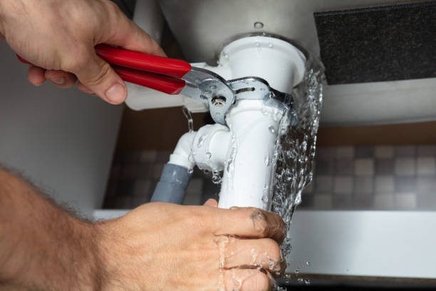 Best Basement water damage restoration  in Lino Lakes, MN