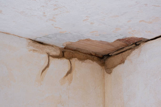 Best Water damage restoration near me  in Lino Lakes, MN