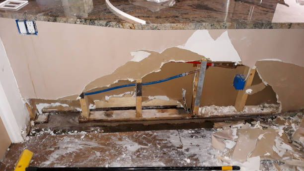 Best 24-hour water damage restoration  in Lino Lakes, MN