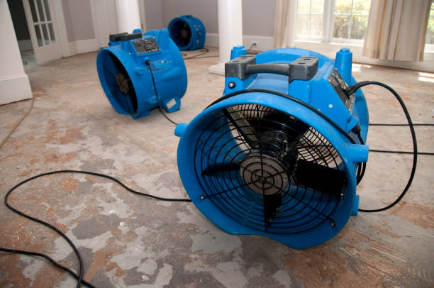 Best Flood damage cleanup  in Lino Lakes, MN