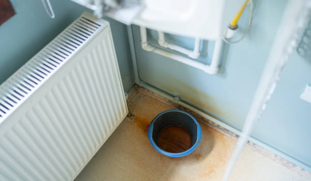 Best Mold removal after water damage  in Lino Lakes, MN