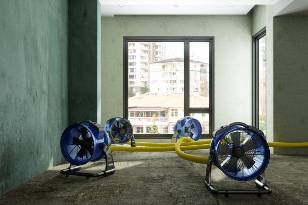 Best Flood restoration services  in Lino Lakes, MN